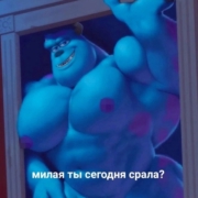 Людмила Пшихачева